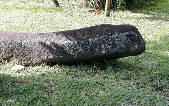 Queue du lézard, vallée de la Tuauru