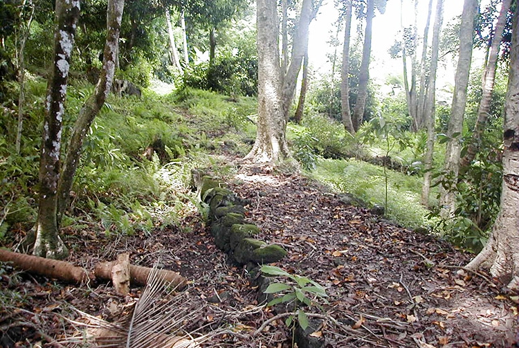 Chemin des douze apôtres, à Mangareva © Tahiti Heritage