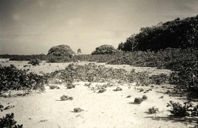 Atoll de Maria aux Iles Australes en 1934. mangarevan expédition