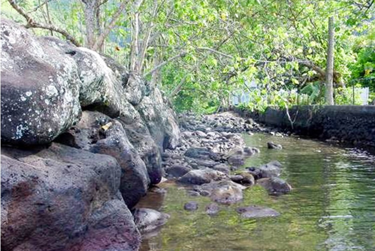 Embouche de la rivière, Tiamao, Papara
