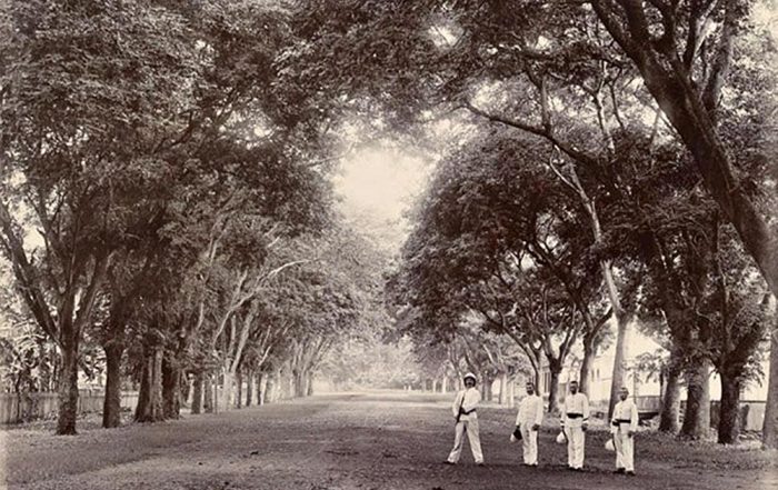 Avenue Saint Amélie à Papeete en 1900