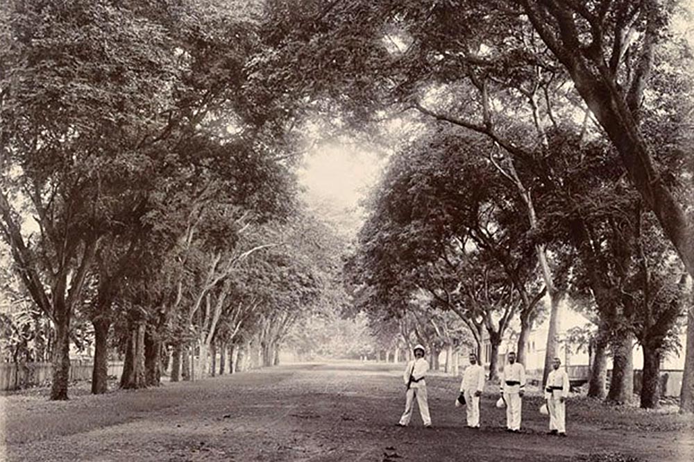 Avenue Saint Amélie à Papeete en 1900