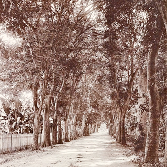 Rue de l'ouest à Papeete en 1900
