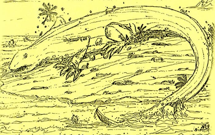 Lézard du motu Mokoki de Hao. Illustration Akeou CPS Hao 2001