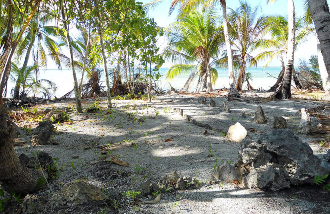 Marae Ura de Niau au Tuamotu. Photo Diren / Paul Niva