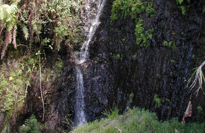Cascade des 1000 sources à Mahina