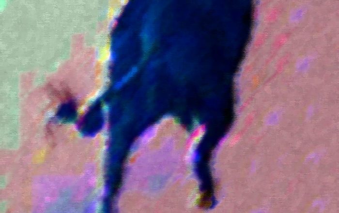 L'homme aux pieds de taureau, dans un flou éthylique