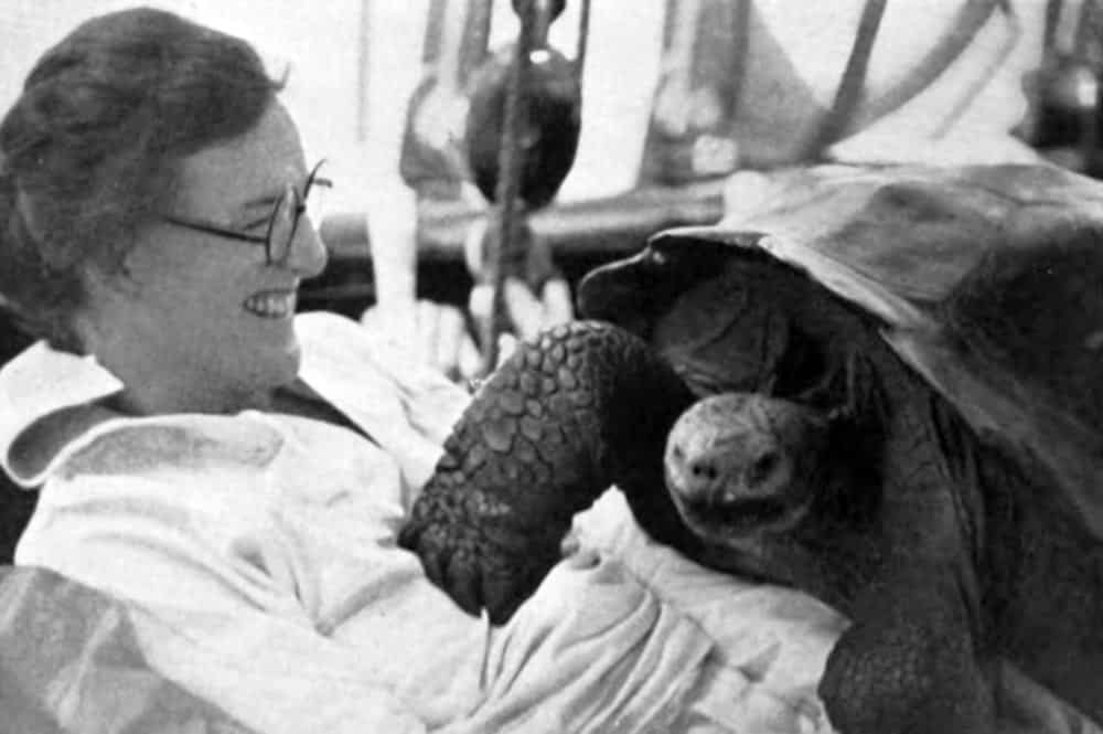 Marie Pinchot avec la tortue Rosie. Galapagos 1930.
