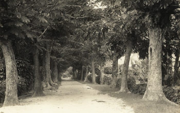 La rue principale de Rikitea en 1934. Photo Mangarevan Expedition