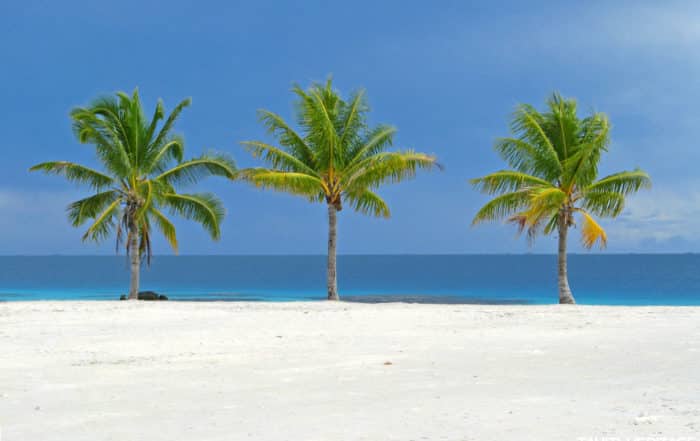 Trois cocotiers verts sur le sable blanc et le lagon bleu Photo Olivier Babin