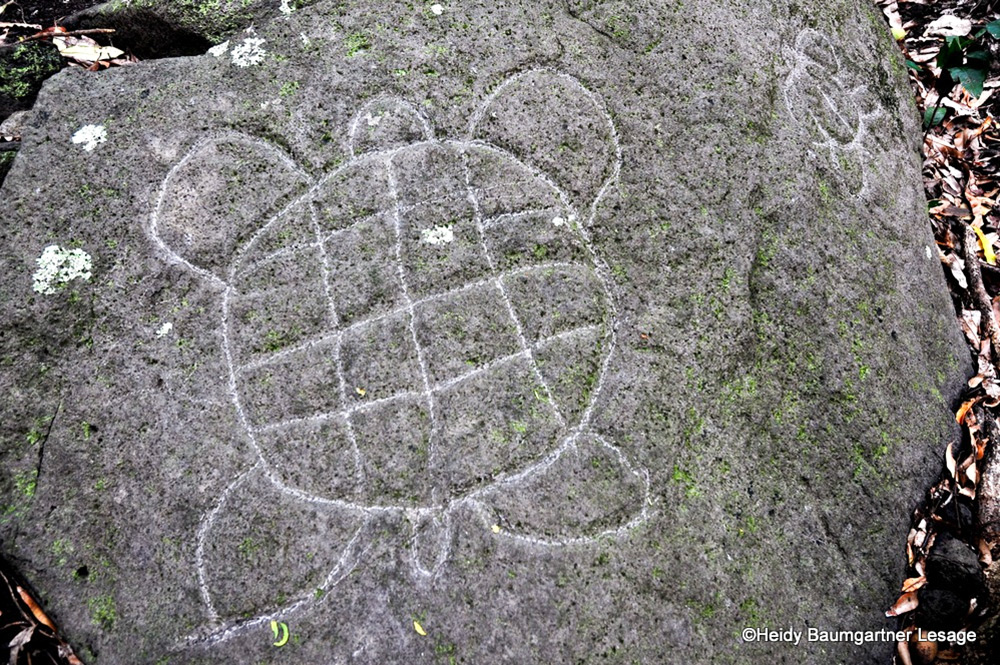 Pétroglyphe de tortue dans la vallée Haranae à Maupiti. Photo Heidy Baumgartner Lesage