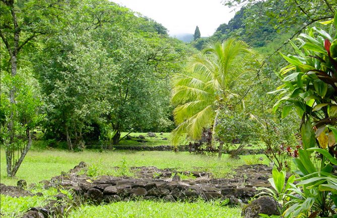 Plateforme de tir à l'arc à Farehape, vallée de papenoo. © Tahiti Heritage