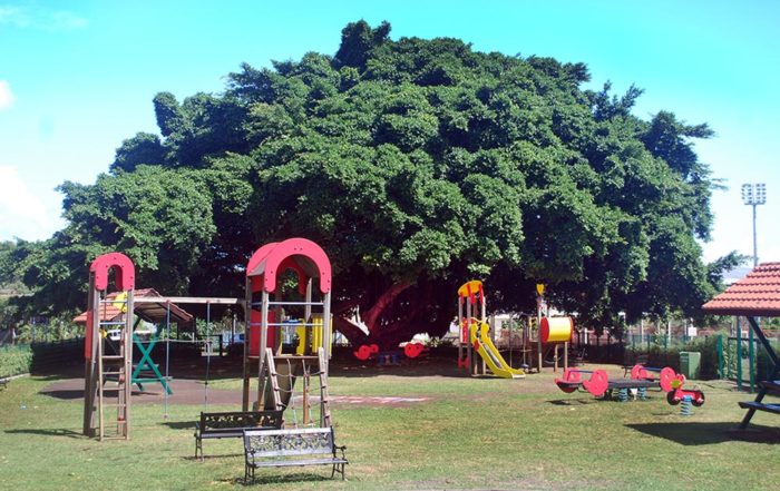 Vieil ora tahiti de la maison des jeunes de Pirae, en 2012