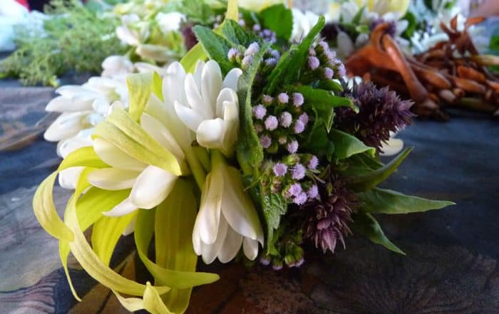 Kumuhei avec des agérates bleues. Photo Instantdumonde