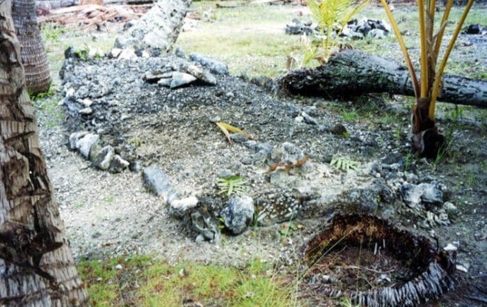 Tombe du roi géant de Hao en 1998 © Tahiti Heritage