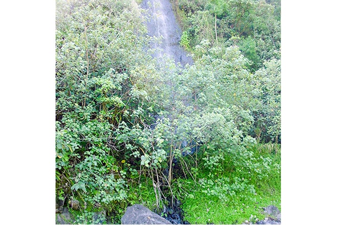 Mine de basalte Vaiotea de la basse vallée de la Papenoo © Tahiti Heritage