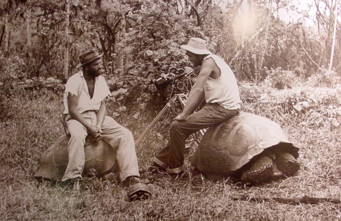 Harrison Smith assis sur une des ses tortues de Galapagos
