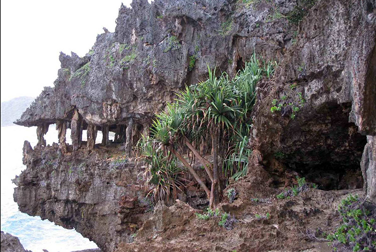 Grotte en dentelles de Rurutu. Photo isaetchristianatahiti
