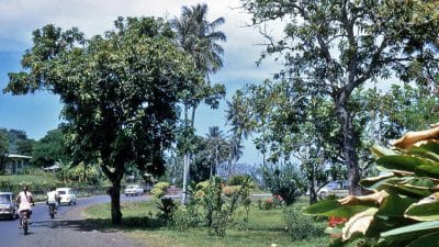 Le carrefour de l'aéroport de Faa'a. 1966. Photo Treboz