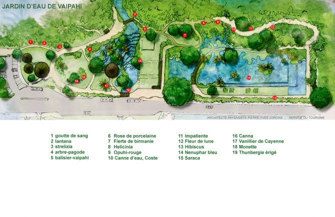 Plan du jardin d'eau de Vaipahi à Teva I Uta, Tahiti. Architecte Paysagiste P.Y Jorcins.