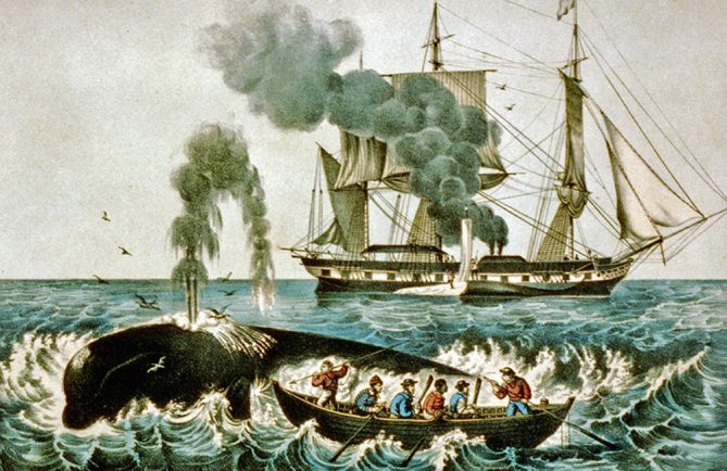 Scène de chasse à la baleine au XIXè siècle
