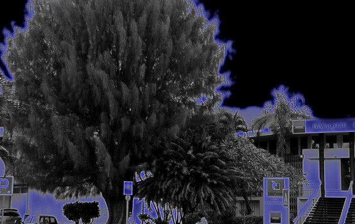 Tupapa'u du fare moni