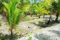 aménagement horticoles