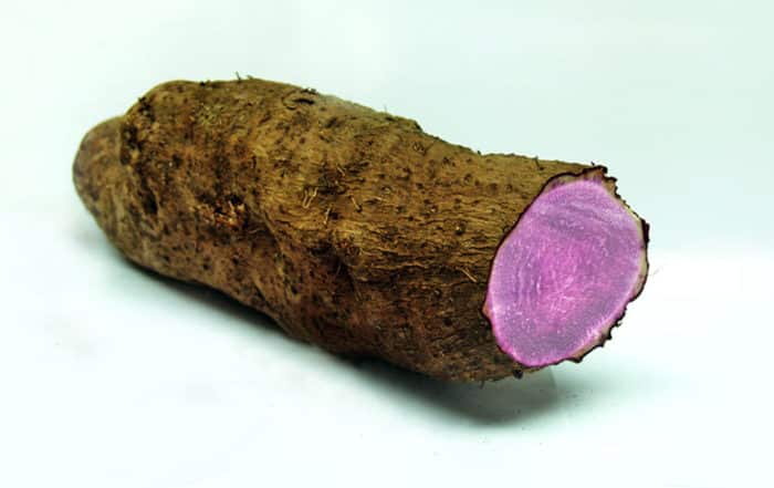 Igname pourpre, Ufi violet, Dioscorea alata.