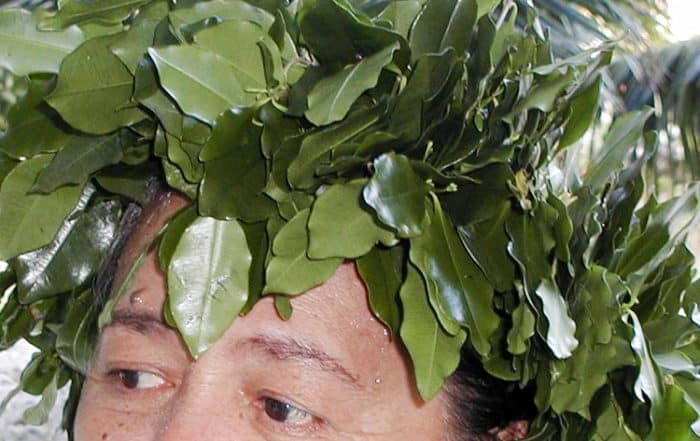 Maire maatea de makatea, Alyxia scandens © Tahiti Heritage