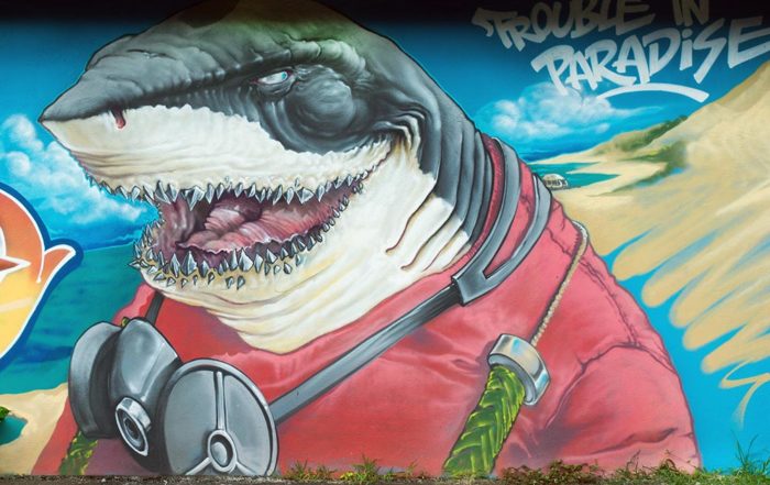 Les requins de Nilko et Inkie, à Uturoa